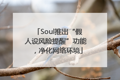 Soul推出“假人设风险提醒”功能，净化网络环境