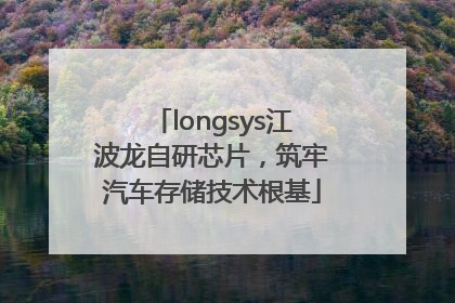 longsys江波龙自研芯片，筑牢汽车存储技术根基